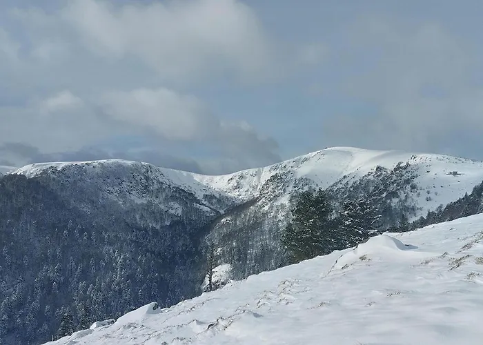 Appartement Bel Reposant